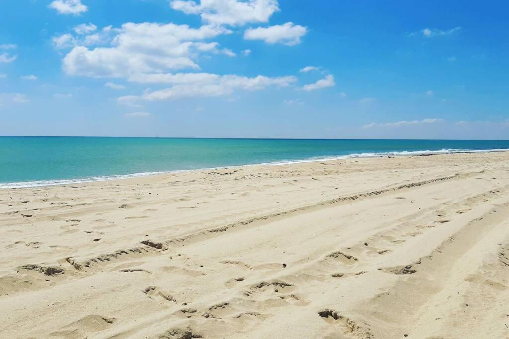 Un Appartement De Charme A Al-Hammamat Zewnętrze zdjęcie